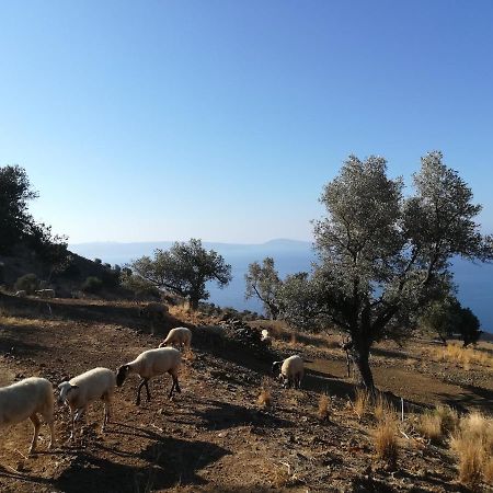 Aparthotel Sea Breeze Agia Galini Exterior foto