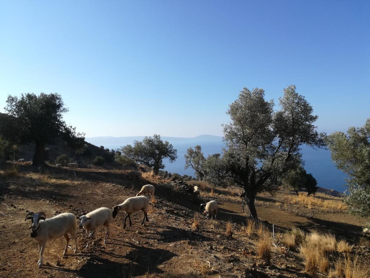 Aparthotel Sea Breeze Agia Galini Exterior foto